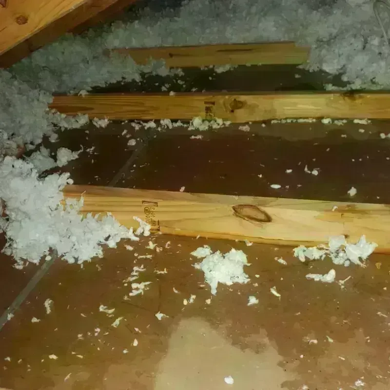 Attic Water Damage in Ore City, TX