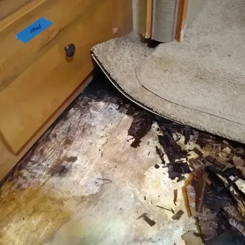 Wood Floor Water Damage in Ore City, TX